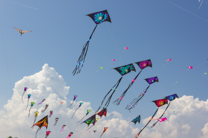 kite-flying-bermuda.jpg