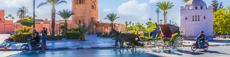 Marrakech Hotels