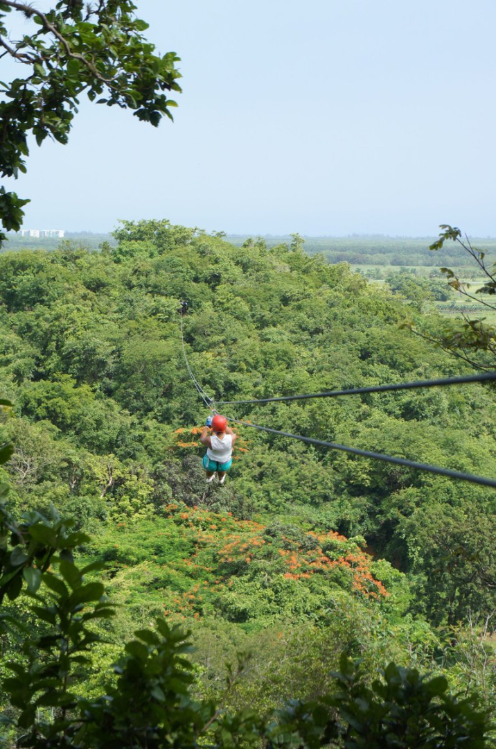 rebel-chick-zip-line.jpg